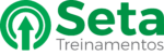 logo seta