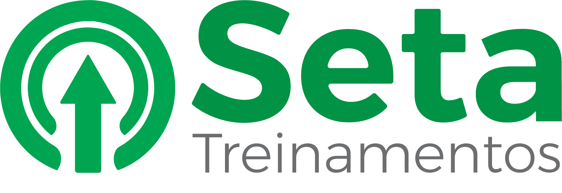 logo seta